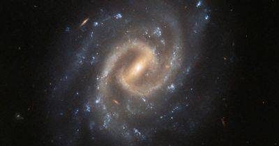 NASA показало новый снимок телескопа Хаббл: спокойная галактика с разрушительным секретом (фото) - focus.ua - Украина