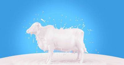 Когда в Евразии появилось молочное животноводство - produkt.by - Россия - Белоруссия