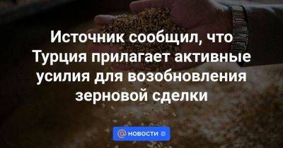 Владимир Путин - Реджеп Тайип Эрдоган - Тайип Эрдоган - Источник сообщил, что Турция прилагает активные усилия для возобновления зерновой сделки - smartmoney.one - Россия - Украина - Турция - Анкара - Стамбул