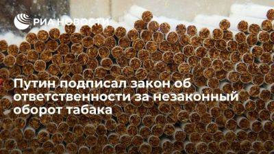 Владимир Путин - Путин подписал закон об уголовное ответственности за незаконный оборот табака - smartmoney.one - Россия