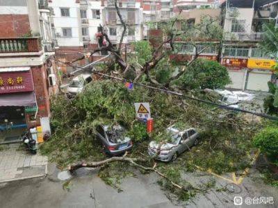 Сильный дождь в Пекине после тайфуна превратил дороги в реки, двое погибших - unn.com.ua - Китай - Украина - Киев - Англия - Пекин - Тяньцзинь
