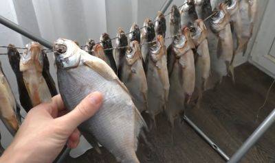 Особенно опасно летом: названа рыба, которую не следует потреблять в пищу - ukrainianwall.com - Украина