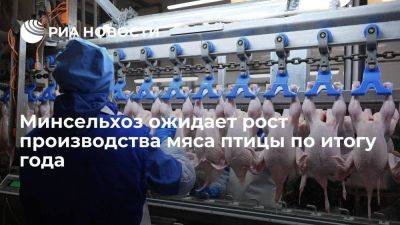 Минсельхоз: ожидается рост производства мяса птицы по итогам текущего года - smartmoney.one - Россия