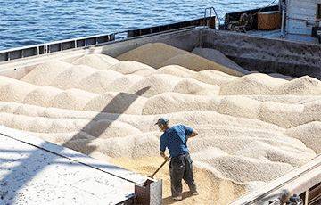 Андрей Пленкович - Дмитрий Кулеба - Хорватия поможет экспортировать украинское зерно через свои порты - charter97.org - Москва - Россия - Украина - Белоруссия - Болгария - Хорватия - Одесса - Греция