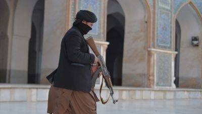 Талибы в Афганистане публично сожгли десятки музыкальных инструментов - svoboda.org - США - Португалия - Afghanistan