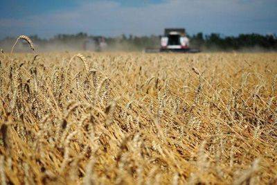 Мэттью Миллер - Цена пшеницы в США упала ниже уровня даты остановки зерновой сделки, до 6,66 доллара за бушель - smartmoney.one - Россия - США - Украина - Вашингтон - Турция - Одесса