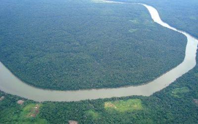 Леонардо Ди-Каприо - Джефф Безос - Ди Каприо и Безос пожертвовали $200 миллионов в защиту лесов Амазонки - korrespondent.net - Украина - Бразилия