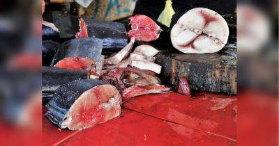 Игорь Кибальчич - На киевских ярмарках до конца июля запретили торговлю мясом и рыбой - fakty.ua - Украина - Киев