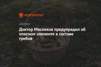 Доктор Мясников предупредил об опасном элементе в составе грибов - championat.com