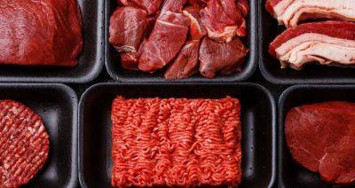 ФАО прогнозирует увеличение мирового производства мяса в 2023 году - produkt.by - Австралия - Белоруссия - Бразилия