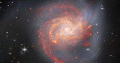 Джеймс Уэбб - Телескоп Уэбб сфотографировал спиральную галактику: она родилась после "космического ДТП" (фото) - focus.ua - Украина