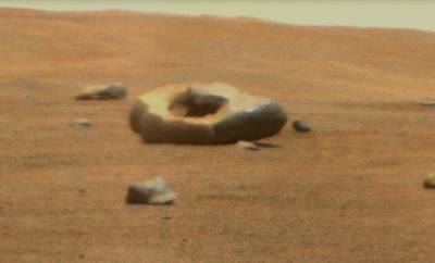 Марсоход Perseverance заметил на планете удивительные скалы — в форме гигантского пончика и кусочка сыра - itc.ua - Украина