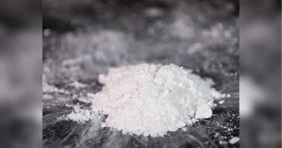 Джо Байден - Белый порошок в Белом доме: в резиденции президента США обнаружили кокаин - fakty.ua - США - Украина - Washington