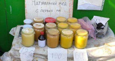 Как отличить натуральный мёд от суррогата с помощью хлеба: метод опытных пасечников - cxid.info