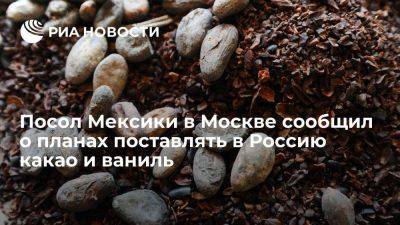 Посол в Москве Мехиас сообщил о желании Мексики начать поставлять в Россию какао и ваниль - smartmoney.one - Москва - Россия - США - Бельгия - Мексика