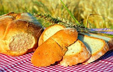 Назван хлеб, который поможет уменьшить жир на животе - charter97.org - Белоруссия