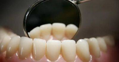 Поберегите серое вещество. Пренебрежительное отношение к чистке зубов уменьшает мозг - focus.ua - США - Украина - Япония
