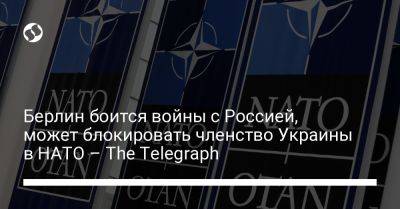 Берлин боится войны с Россией, может блокировать членство Украины в НАТО – The Telegraph - liga.net - Россия - Украина - Англия - Германия - Берлин - Вильнюс