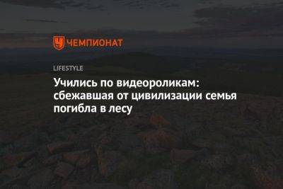 Учились по видеороликам: сбежавшая от цивилизации семья погибла в лесу - championat.com - США - шт. Колорадо