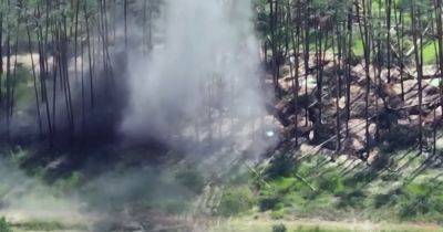 Пограничники уничтожили минометную позицию оккупантов на Лиманском направлении (видео) - focus.ua - Украина