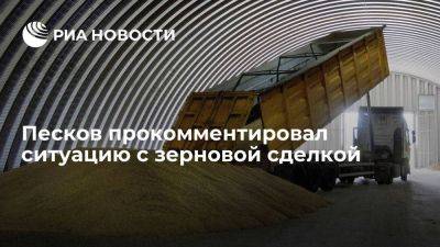 Владимир Путин - Дмитрий Песков - Песков: возвращение к зерновой сделке возможно после выполнения всех условий России - smartmoney.one - Москва - Россия - США - Украина - Турция - Одесса - Тольятти