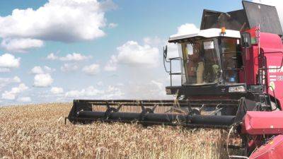 Первый миллион тонн зерна – у хлеборобов Брестской области - belarus24.by - Белоруссия - район Каменецкий