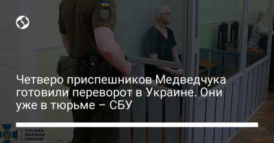 Виктор Медведчук - Четверо приспешников Медведчука готовили переворот в Украине. Они уже в тюрьме – СБУ - liga.net - Россия - Украина - Киев - Гаага