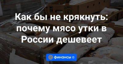 Как бы не крякнуть: почему мясо утки в России дешевеет - smartmoney.one - Россия - Германия - Франция - Венгрия - Болгария - Таиланд