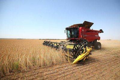 Strategie Grains понизила прогноз сбора пшеницы в ЕС до 124,7 миллиона тонн - smartmoney.one - Москва - Ес