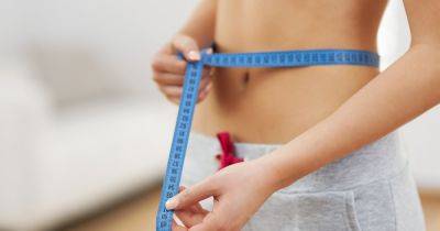 Диета для ленивых: 6 советов, которые помогут похудеть не напрягаясь - focus.ua - Украина - штат Род-Айленд