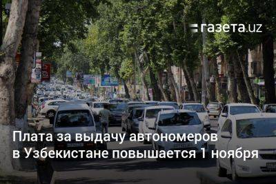 Плата за выдачу автономеров в Узбекистане повышается 1 ноября - gazeta.uz - Узбекистан