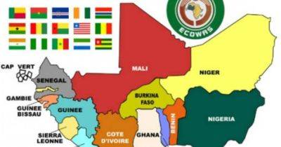 Джо Байден - Страны западной Африки готовы силой свергнуть хунту в Нигере - dsnews.ua - США - Украина - Нигерия - Мали - Буркина-Фасо - Гвинея - Нигер