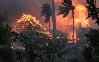 Пожары на Гавайях: число жертв превысило 50 человек - korrespondent.net - Украина - штат Гавайи