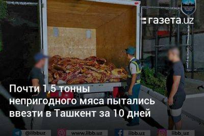 Почти 1,5 тонны непригодного мяса пытались ввезти в Ташкент за 10 дней - gazeta.uz - Узбекистан - Ташкент