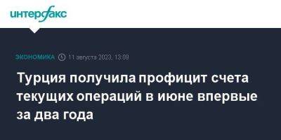 Турция получила профицит счета текущих операций в июне впервые за два года - smartmoney.one - Москва - Турция