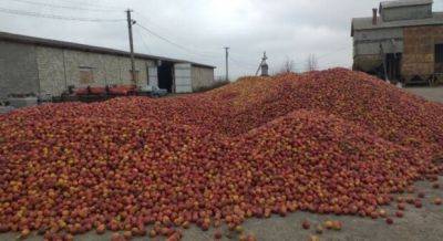 Цены на яблоки в Украине бьют рекорды, стоимость выросла вдвое: сколько придется заплатить за кг - politeka.net - Украина