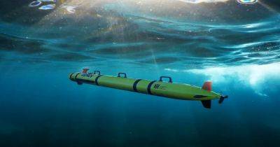 Военные получат необычные подводные дроны REMUS: будут прорывать оборону врагов - focus.ua - США - Украина