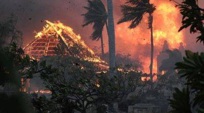 Количество погибших из-за лесных пожаров на Гавайях превысило 60 - ru.slovoidilo.ua - США - Украина - штат Гавайи - state Hawaii