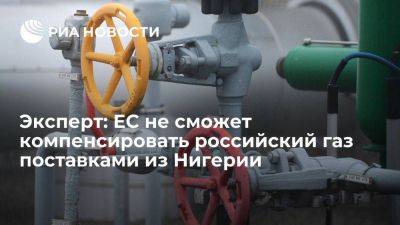 Эксперт Бутамин: ЕС не сможет компенсировать поставки из России газом из Нигерии - smartmoney.one - Россия - США - Алжир - Алжирская Народная Демократическая Республика - Нигерия - Алжир - Нигер - Европа