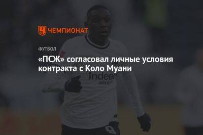 Флориан Плеттенберг - «ПСЖ» согласовал личные условия контракта с Коло Муани - championat.com - Германия - Франция