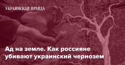 Ад на земле. Как россияне убивают украинский чернозем - pravda.com.ua