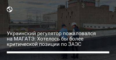 Украинский - Украинский регулятор пожаловался на МАГАТЭ: Хотелось бы более критической позиции по ЗАЭС - liga.net - Украина - Запорожская обл.