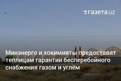 Шавкат Мирзиеев - Минэнерго и хокимияты предоставят теплицам гарантии бесперебойного снабжения газом и углём - gazeta.uz - Узбекистан