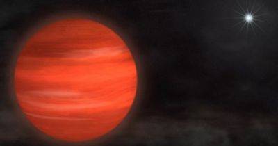 Гигантские Юпитеры и огромные "суперземли": какая самая большая планета во Вселенной - focus.ua - Украина - Швейцария - Женева
