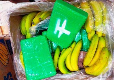 В чешский супермаркет вместе с бананами завезли кокаин. Опять - vinegret.cz - Чехия - Эквадор - Амстердам - Прага