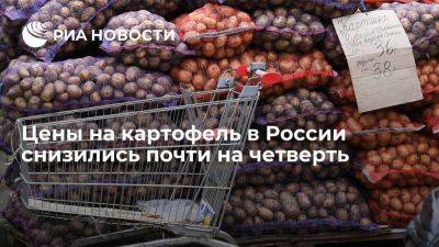 Минсельхоз: производители картофеля в России снизили цены на 23,5 процента - smartmoney.one - Россия