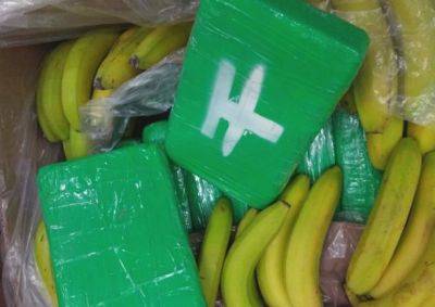 Чешская полиция изъяла 646 кг кокаина в грузовике с бананами - unn.com.ua - Украина - Киев - Чехия - Эквадор - Прага