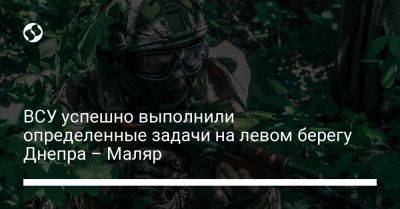 Анна Маляр - ВСУ успешно выполнили определенные задачи на левом берегу Днепра – Маляр - liga.net - Россия - Украина - Херсонская обл.