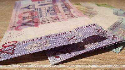 В Беларуси доля рублевой составляющей в средней широкой денежной массе возросла в июле до 54,5% - smartmoney.one - Белоруссия - Минск