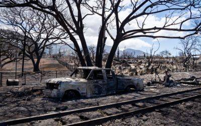 Лесные пожары на Гавайях: погибли около 100 человек - korrespondent.net - Украина - штат Гавайи